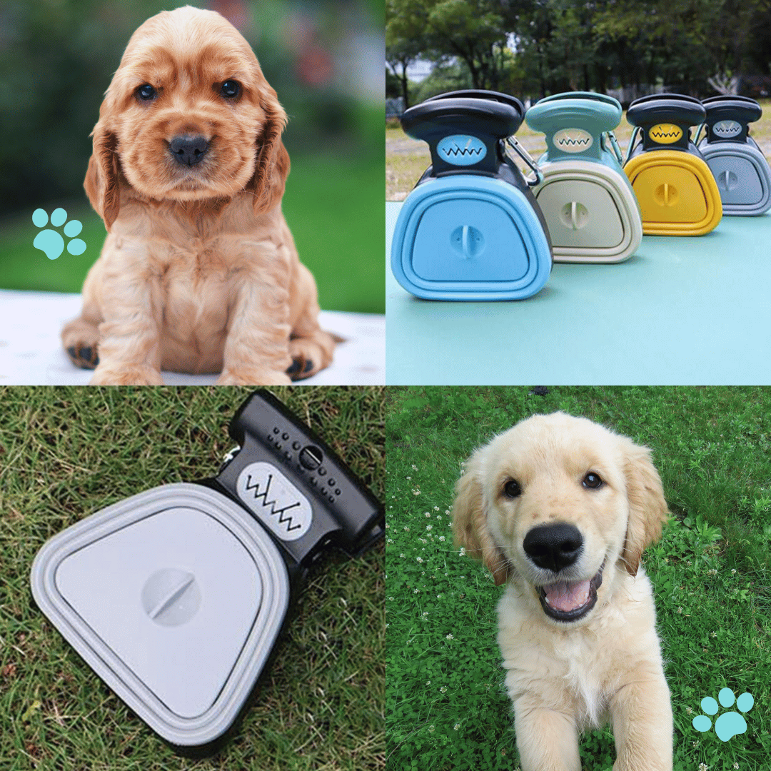 Pawfect Picker